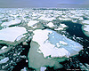 Antarctica-150